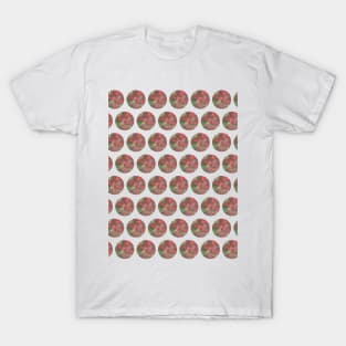 Strawberry Garden Patches T-Shirt